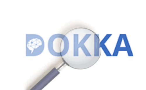 Old DOKKA logo with magnifying glass